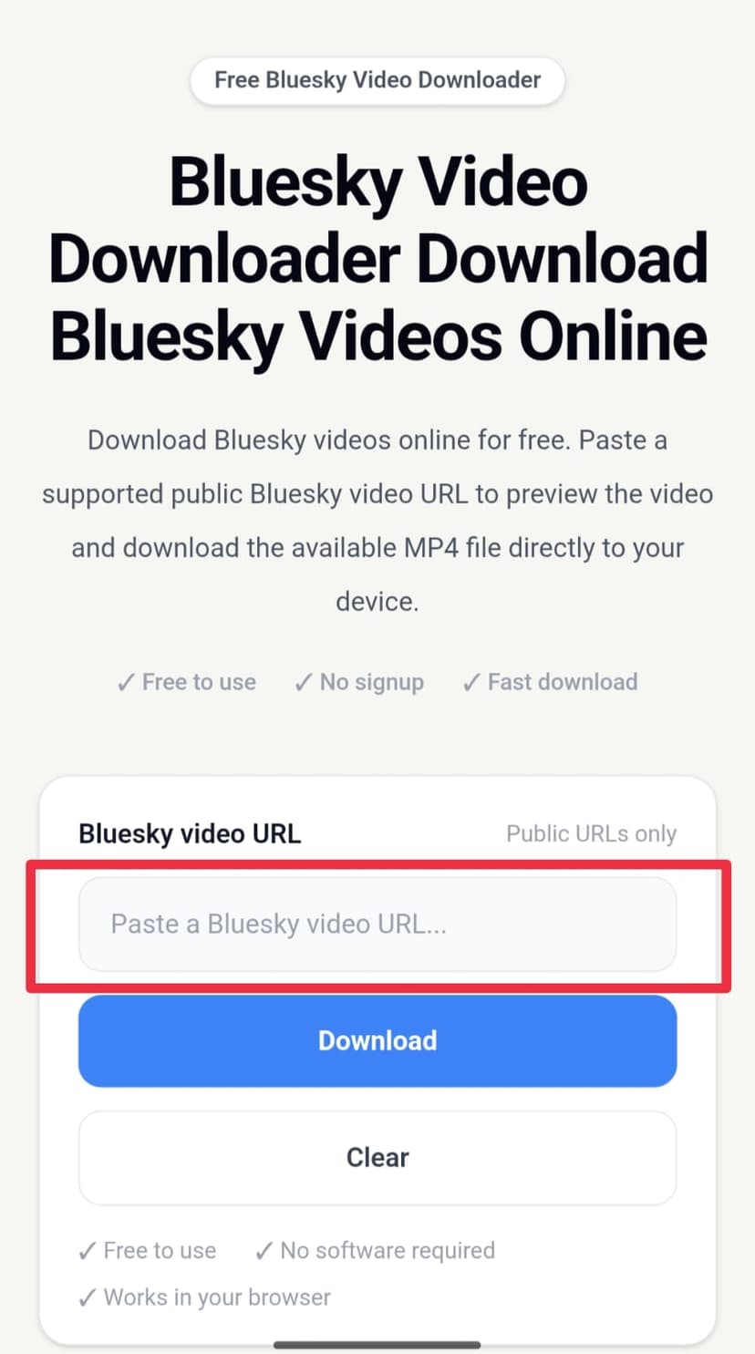 Paste the Bluesky link and download