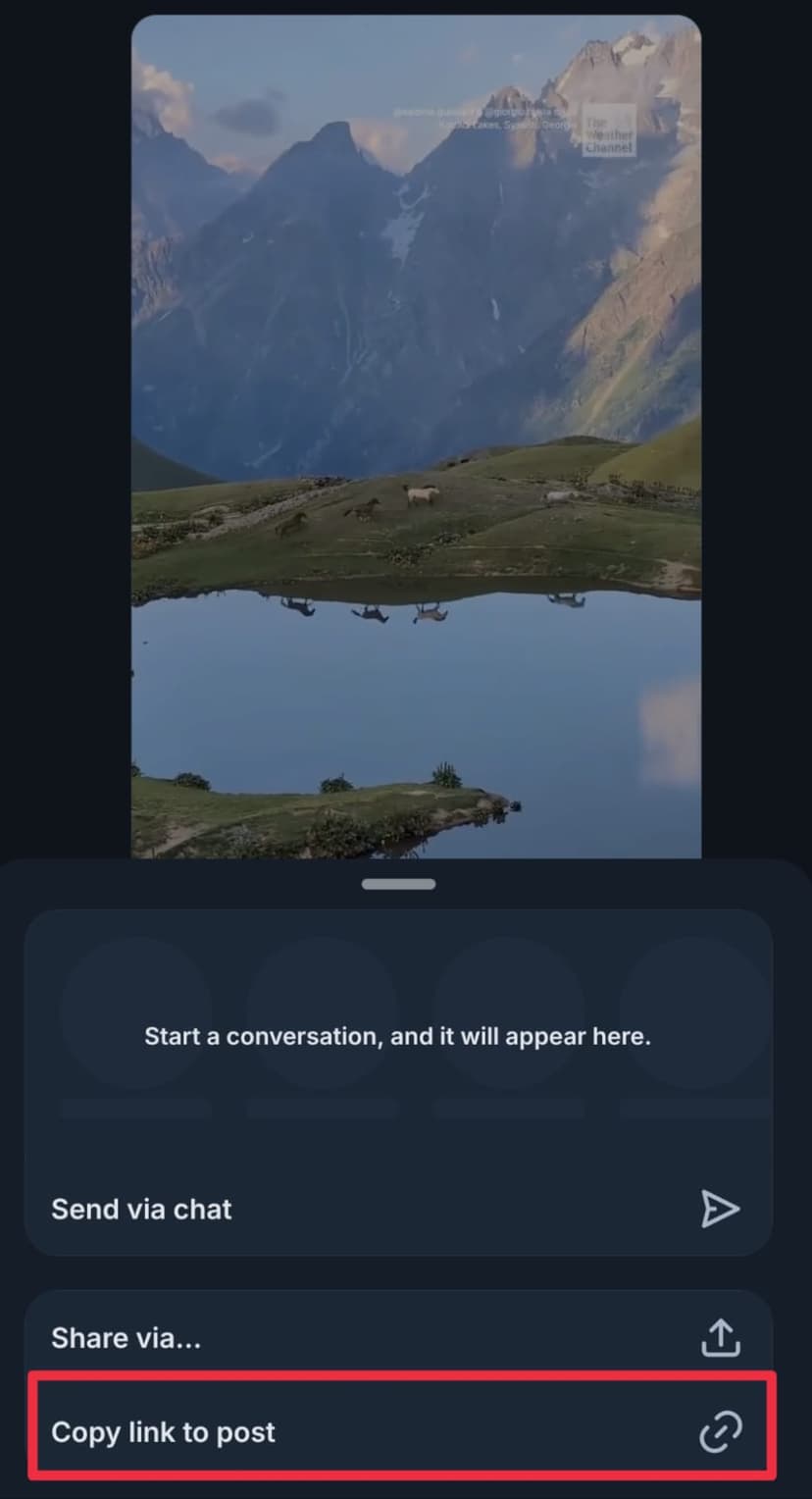 Copy the Bluesky video link