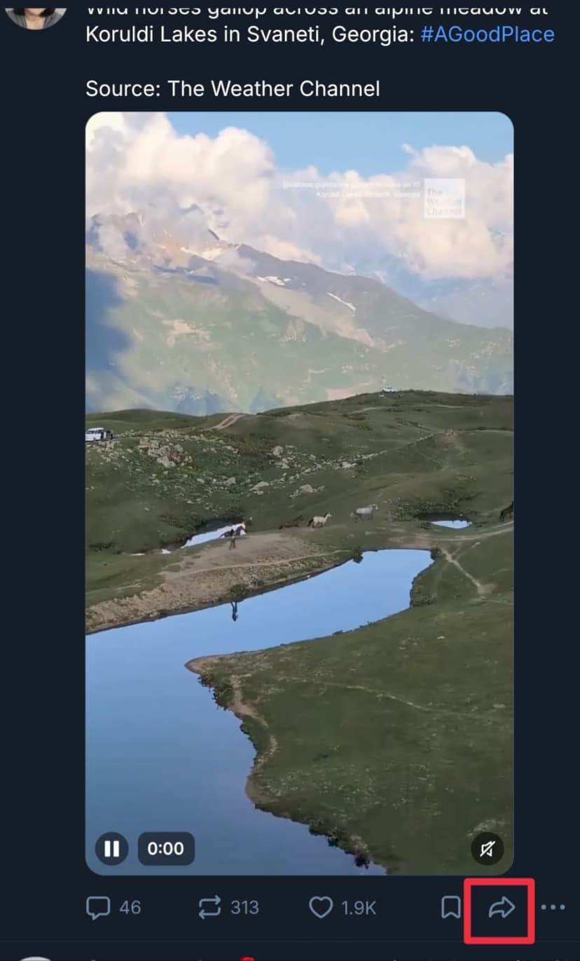 Open a Bluesky video